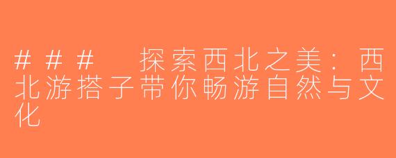 ### 探索西北之美：西北游搭子带你畅游自然与文化