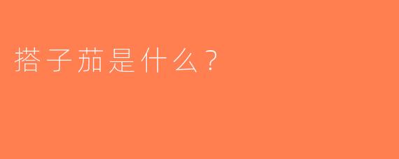 搭子茄是什么？