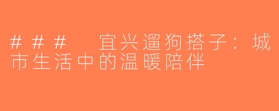 ### 宜兴遛狗搭子：城市生活中的温暖陪伴