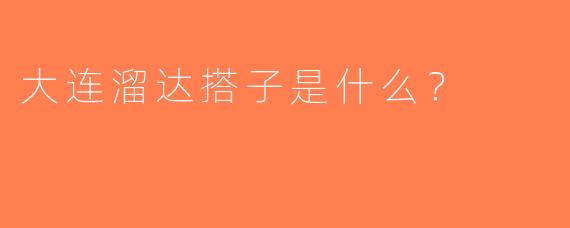 大连溜达搭子是什么？