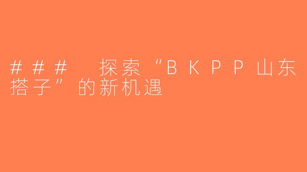 ### 探索“BKPP山东搭子”的新机遇