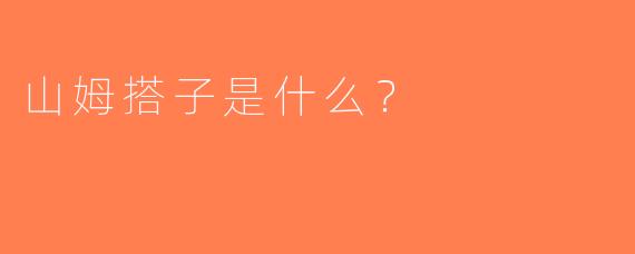 山姆搭子是什么？  