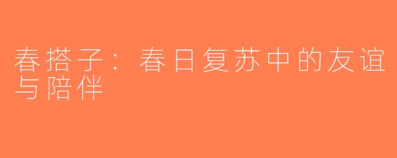 春搭子：春日复苏中的友谊与陪伴