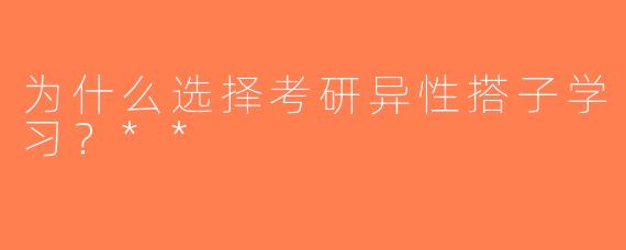 为什么选择考研异性搭子学习？**