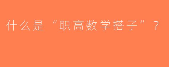 什么是“职高数学搭子”？  
