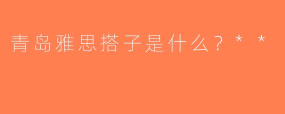 青岛雅思搭子是什么？**