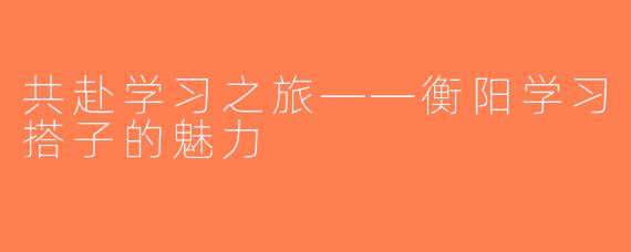 共赴学习之旅——衡阳学习搭子的魅力