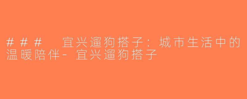 ### 宜兴遛狗搭子：城市生活中的温暖陪伴-宜兴遛狗搭子