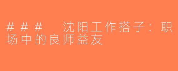 ### 沈阳工作搭子：职场中的良师益友