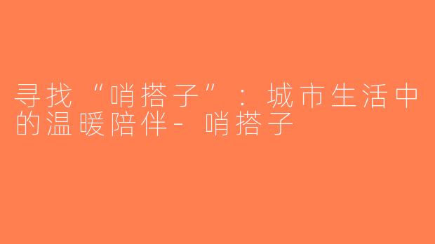 寻找“哨搭子”：城市生活中的温暖陪伴-哨搭子