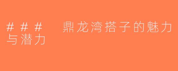 ### 鼎龙湾搭子的魅力与潜力