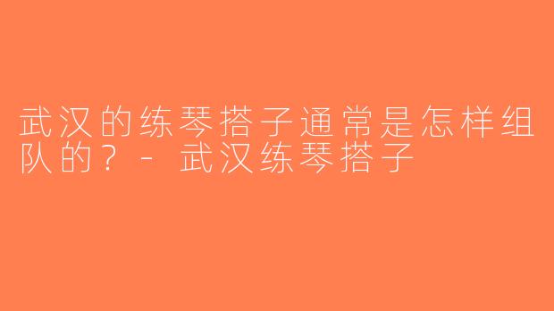 武汉的练琴搭子通常是怎样组队的？-武汉练琴搭子