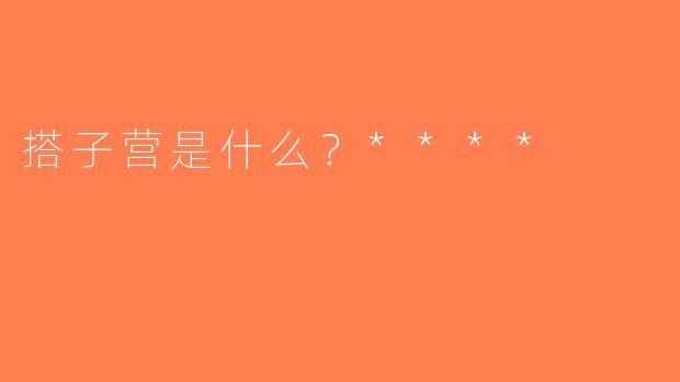 搭子营是什么？****
