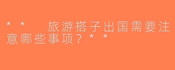 ** 旅游搭子出国需要注意哪些事项？**