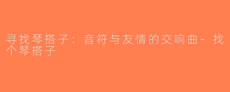 寻找琴搭子：音符与友情的交响曲-找个琴搭子