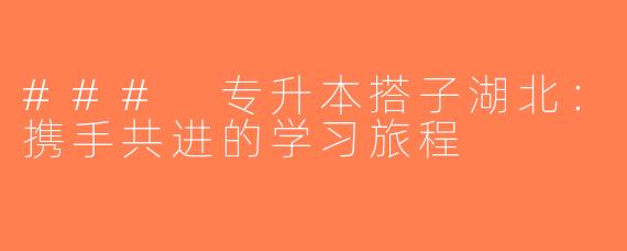 ### 专升本搭子湖北：携手共进的学习旅程
