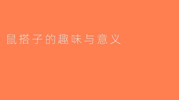 鼠搭子的趣味与意义