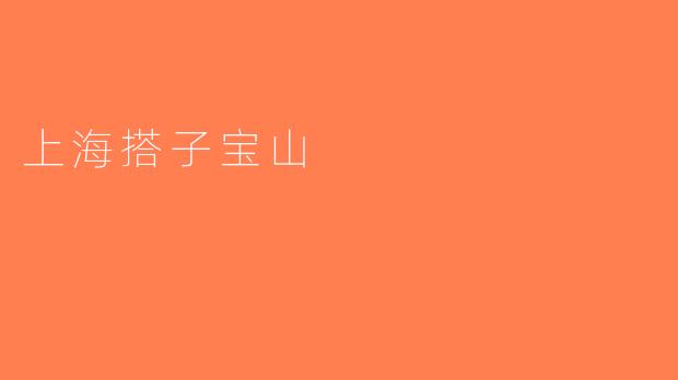 上海搭子宝山