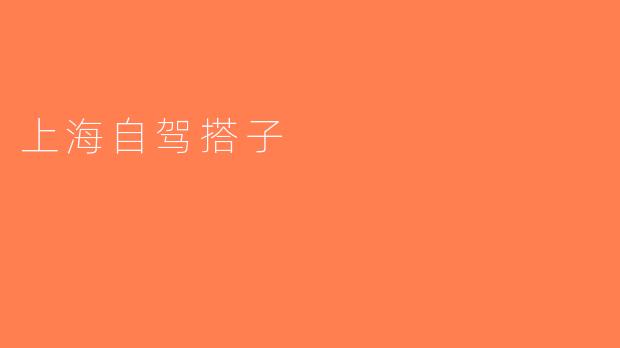 上海自驾搭子