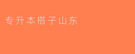 专升本搭子山东