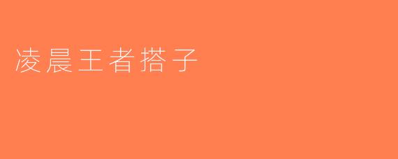 凌晨王者搭子
