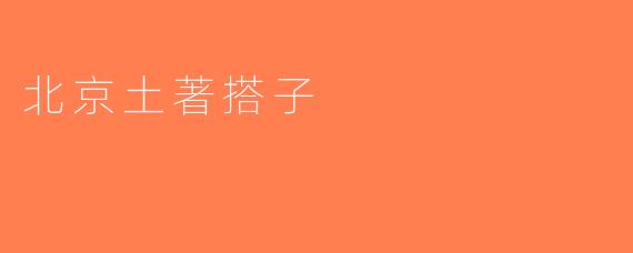 北京土著搭子