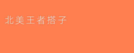 北美王者搭子