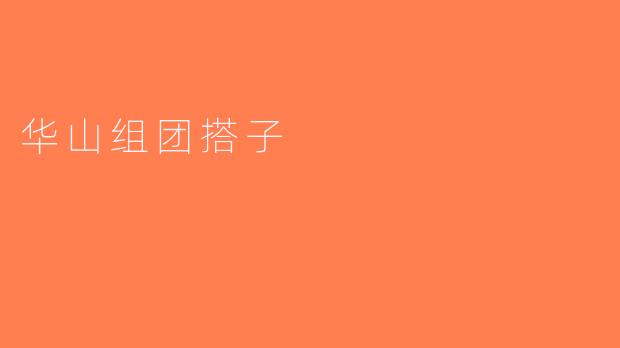 华山组团搭子