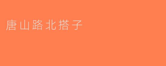 唐山路北搭子