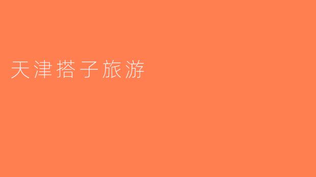 天津搭子旅游