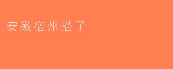 安徽宿州搭子