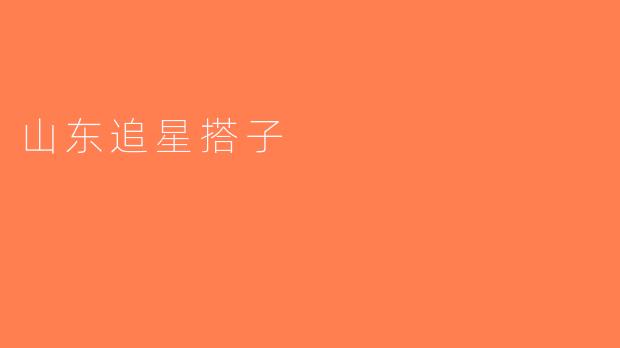 山东追星搭子