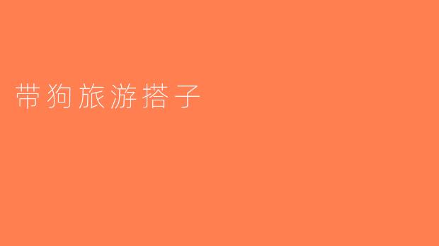 带狗旅游搭子