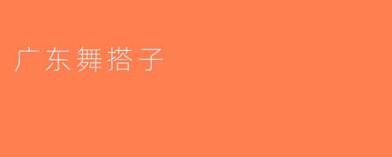 广东舞搭子