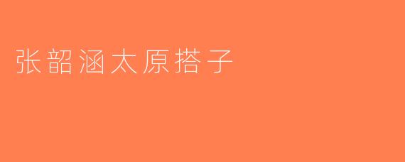张韶涵太原搭子