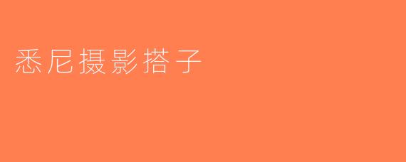 悉尼摄影搭子