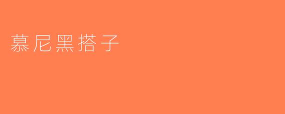 慕尼黑搭子