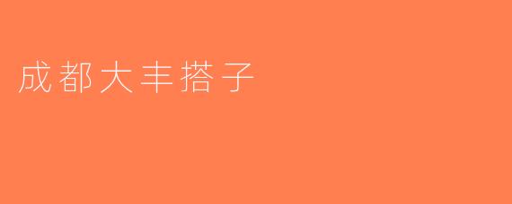 成都大丰搭子