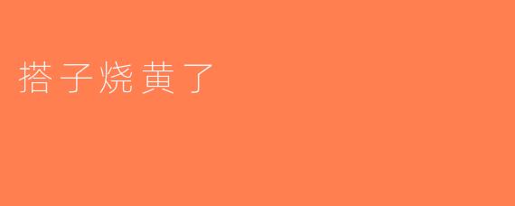 搭子烧黄了