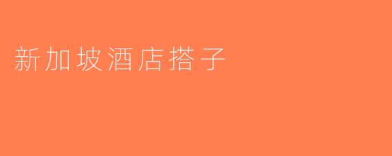 新加坡酒店搭子