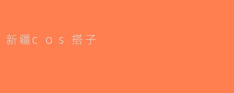 新疆cos搭子