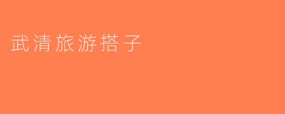武清旅游搭子