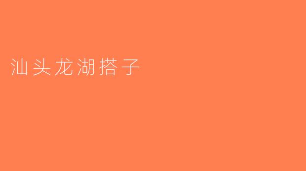 汕头龙湖搭子