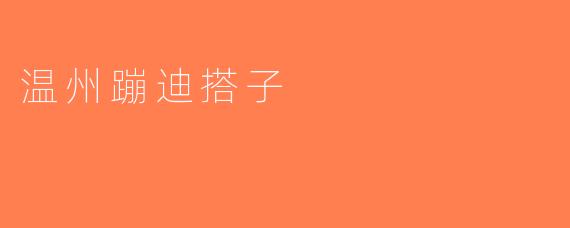 温州蹦迪搭子