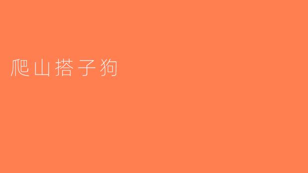 爬山搭子狗