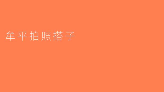 牟平拍照搭子