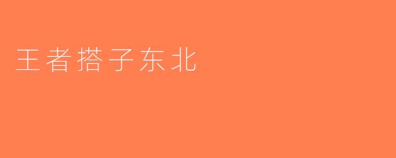 王者搭子东北