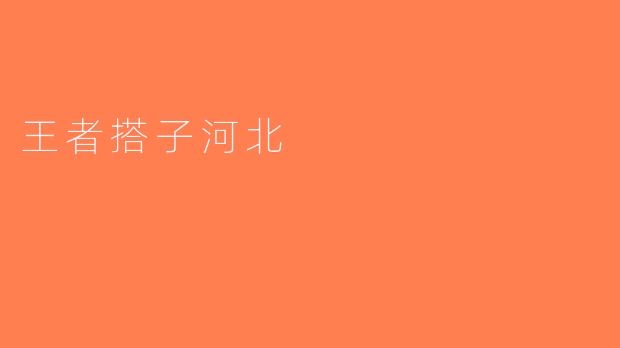 王者搭子河北