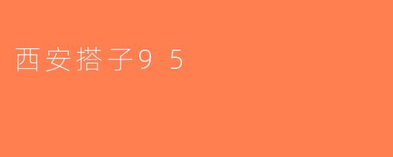 西安搭子95
