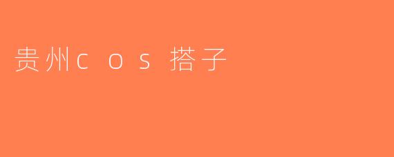 贵州cos搭子